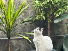 -旧天堂书店(华侨城创意文化园南山特色文化街区店)