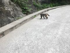 -北京上方山国家森林公园