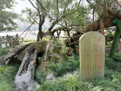 -江心屿景区