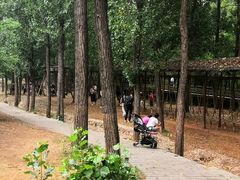 -蟠龙山长城景区