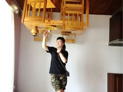 -金山农民画村-枫泾波兰倒置屋
