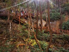 -大岭沟猕猴桃谷风景区