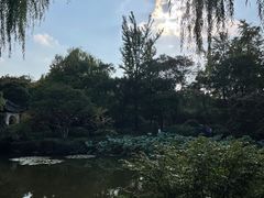 -秋霞圃