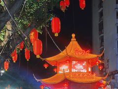 -越秀西湖花市(广州城市广场花卉店)