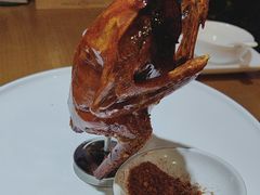 -大鸽饭(马王堆店)