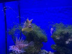 -多彩贵州城极地海洋世界