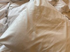 -锦州中央大街希尔顿花园酒店