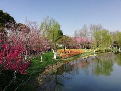 -圩墩遗址公园