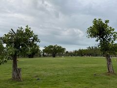 -白沙门生态公园