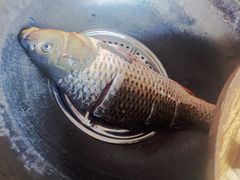 -北京龙庆四季香农家饭庄·灶台鱼·碳烤虹鳟鱼(龙庆峡店)