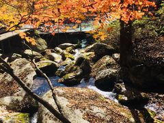 -丹东天桥沟景区