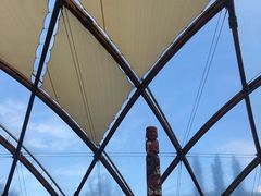 -怀托摩萤火虫洞