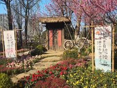 -圩墩遗址公园