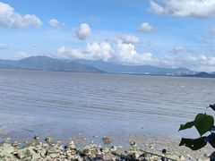-深圳湾公园(南山区)