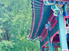 -宣武艺园