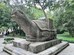 -灵谷景区