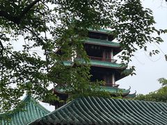 -桂湖森林公园