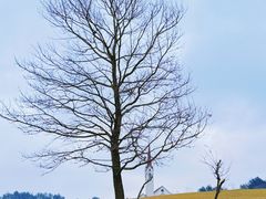 -云漫湖生态度假公园