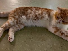 -猫和宫(六道口店)
