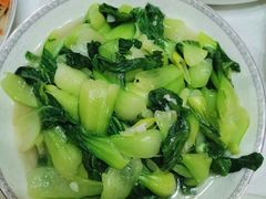-鲸励母婴月嫂(望京店)