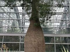 -南山植物园