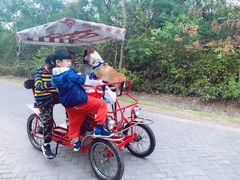 -上海海湾国家森林公园