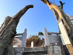 -长沙黑麋峰国家森林公园