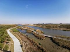 -春花秋色城市公园