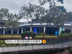 -深圳人才公园