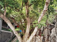 -星湖旅游景区七星岩