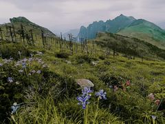 -秦岭风景区