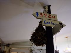 -海边的猫和咖啡馆