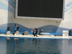 -北戴河圣蓝海洋公园