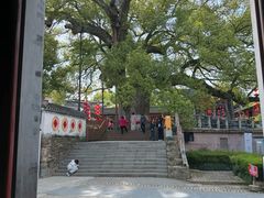 -新安江山水画廊风景区