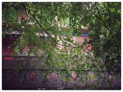 -青檀寺景区