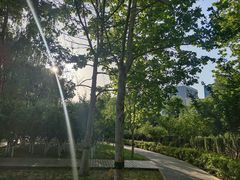 -大兴滨河森林公园