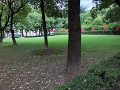 -光明·博海美食花园(上海瑞金医院12号楼店)