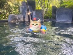 -和顺柏联温泉