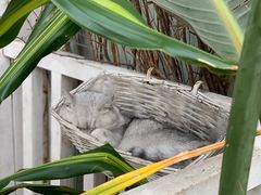 -小时光咖啡馆(北锣鼓巷店)