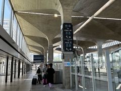 -戴高乐机场火车站