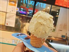 -野人先生现做冰淇淋(西安赛格店)