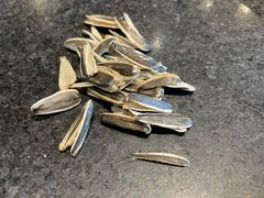 -俏巴妹烤鱼香锅(奥体店)