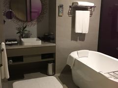 -南京禄口机场雅高铂尔曼大酒店