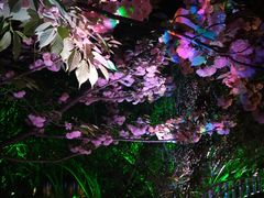 -苏州河梦清园环保主题公园