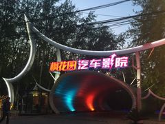 -枫花园汽车电影院(朝阳公园店)