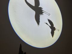 -大董(金宝汇店)