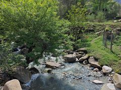 -狮子沟牧场
