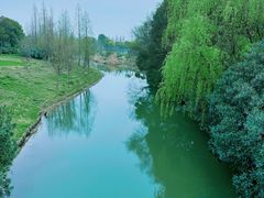 -贡湖湾湿地公园
