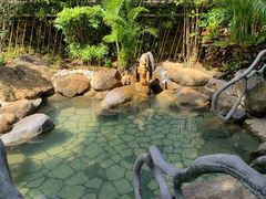 -龙佳生态温泉山庄