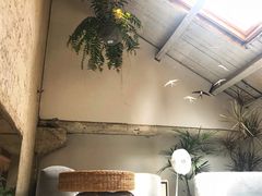 -Bamboo Today Cafe(国创园店)